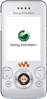 Sony Ericsson W580i