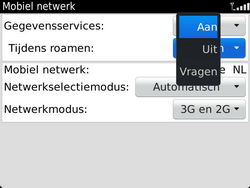 BlackBerry 9900 Bold Touch - Internet - Internet gebruiken in het buitenland - Stap 8 