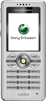 Sony Ericsson R300